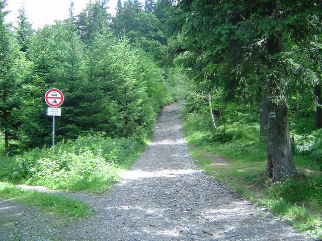 Petrovy boudy, k Biskupske kupe 1,5km