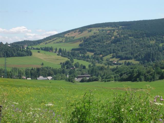 Hermanovice, alej nahoru vede na Zlate Hory (pohled zpatky)