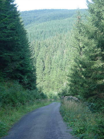 na sobotn trase